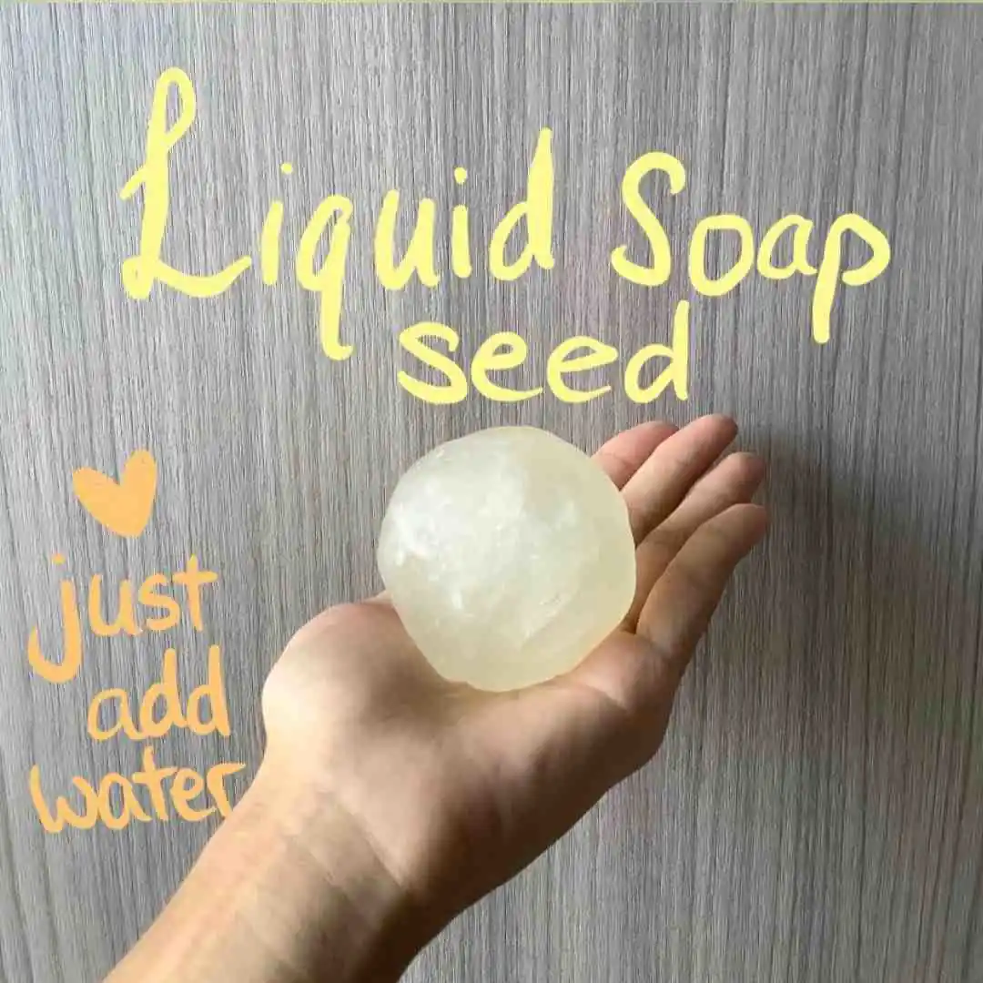 hand holding a ball of liquid soap paste, handwritting on image saying liquid soap seed, just add water